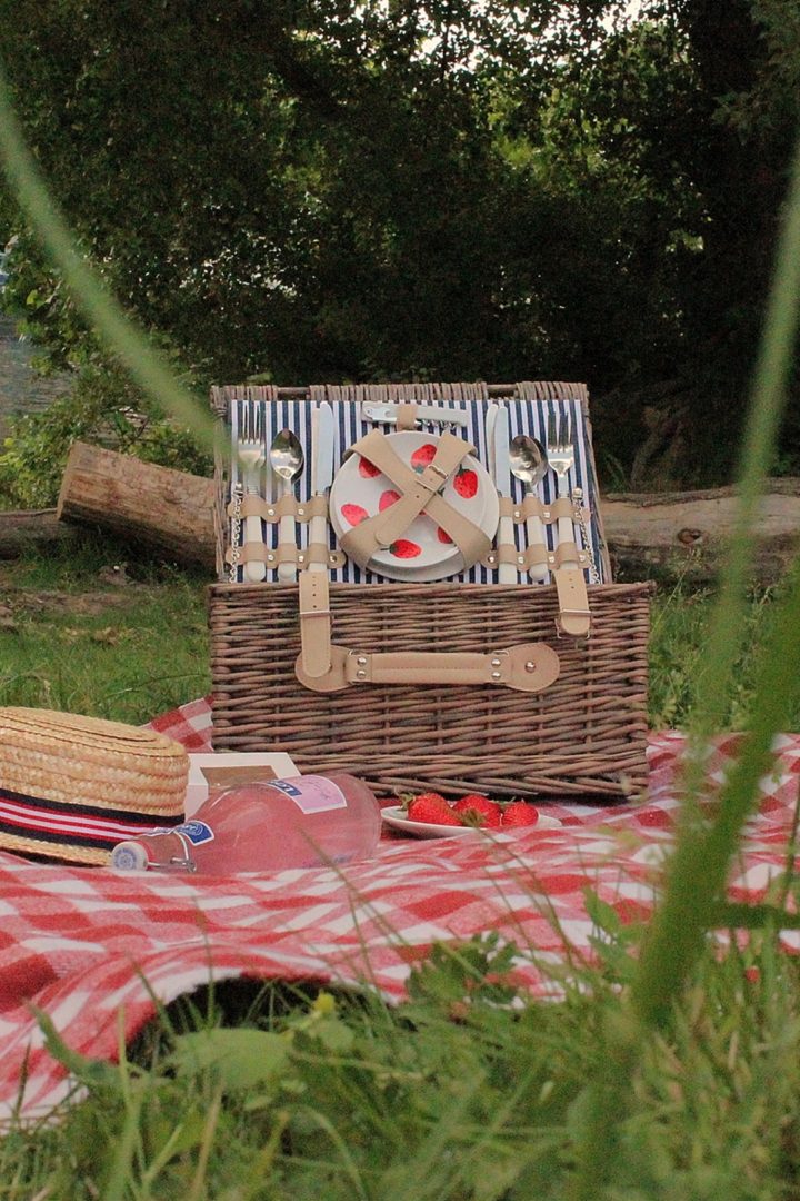 Panier de pique nique pic nic