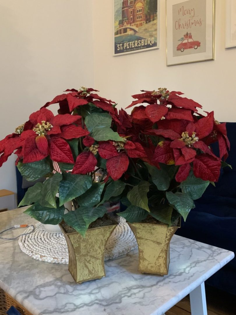 Poinsettias artificielles